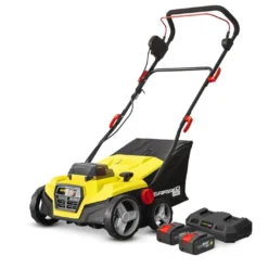 Balayeuse électrique Sans Fil Pour Gazon Synthétique 2 X 20 V