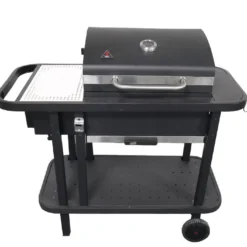 Barbecue Charbon à Allumage Automatique SNG One -Jardelix Soldes Magasin barbecue charbon desserte start n grill
