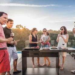 Barbecue Métal GOB01 -Jardelix Soldes Magasin barbecue metal avec plateau mobile en metal peint