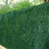 Haie Artificielle En PVC De 243 Brins Lux - 3 X 1,50 M -Jardelix Soldes Magasin brise vue 243 brins pvc