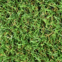 Gazon Synthétique 20 Mm – Otoño