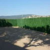 Haie Artificielle 110 Brins 3x1,8m Vert Pin -Jardelix Soldes Magasin haie artificielle 110 brins 3 3