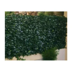 Haie Artificielle Feuilles De Lierre Duo 1x3m -Jardelix Soldes Magasin haie artificielle duo 2