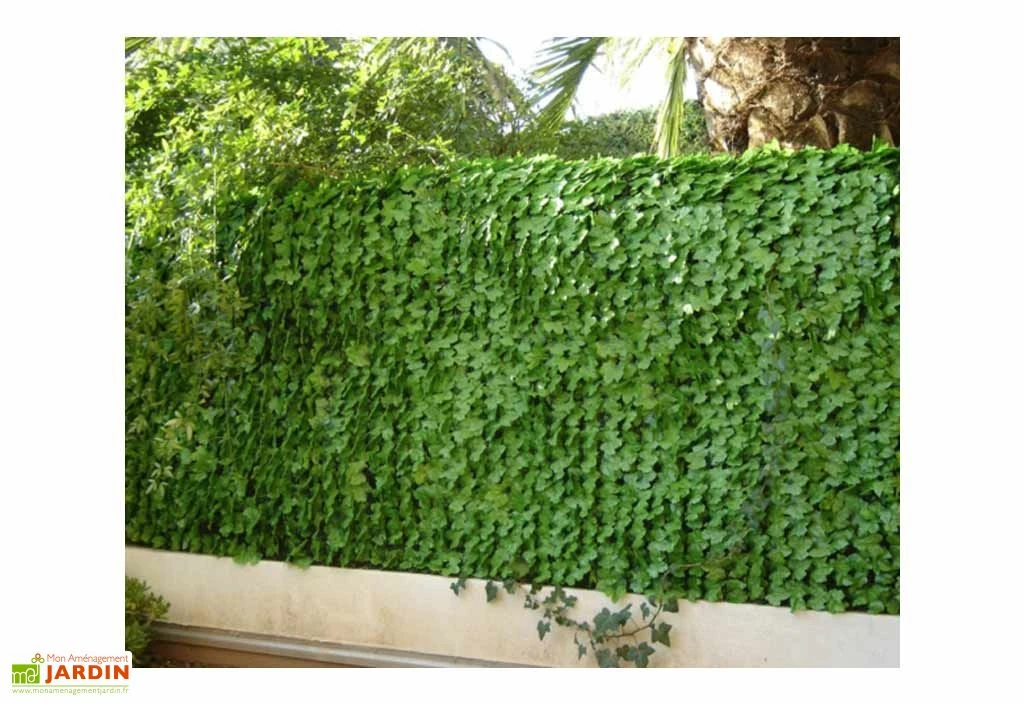 Haie Artificielle Feuilles De Lierre 1,50x3m 5 Haie Artificielle Feuilles De Lierre 1,50x3m – Image 3