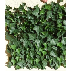 Haie De Lierre Artificielle 250 Feuilles 3 M² -Jardelix Soldes Magasin haie artificielle lierre vert 1
