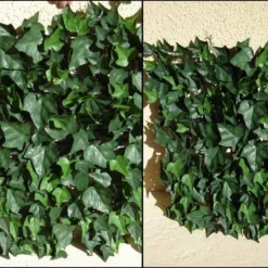 Haie De Lierre Artificielle 250 Feuilles 3 M² -Jardelix Soldes Magasin haie artificielle lierre vert 2