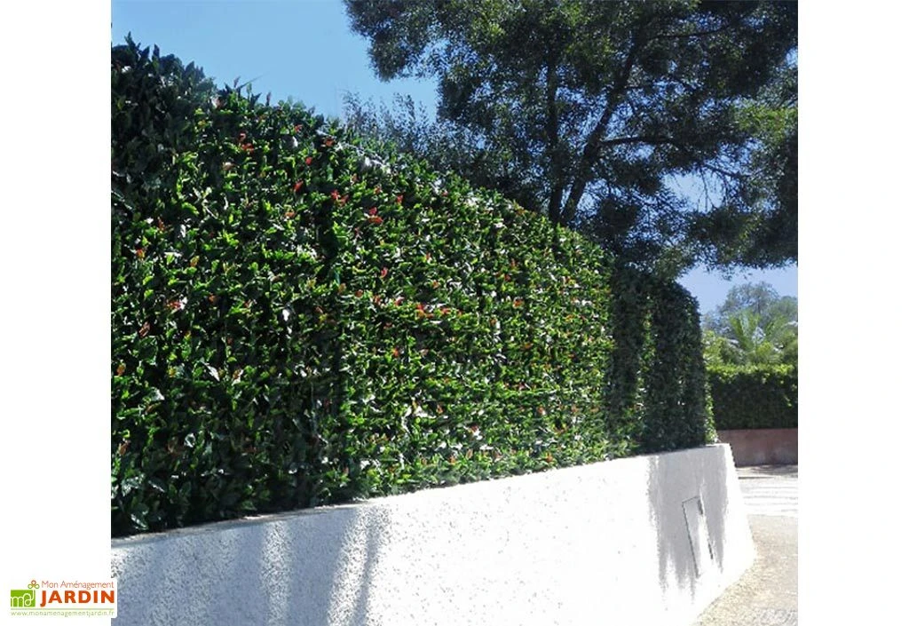 Haie Artificielle Photinia 1 X 1 M 4 Haie Artificielle Photinia 1 X 1 M – Image 2