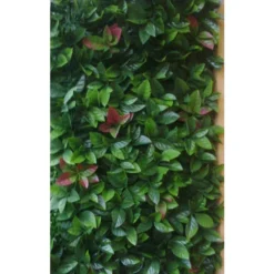 Haie Artificielle Red Robin Dentelé 3 M² 5 Haie Artificielle Red Robin Dentelé 3 M² -Jardelix Soldes Magasin haie artificielle red robin lierre rouge 1