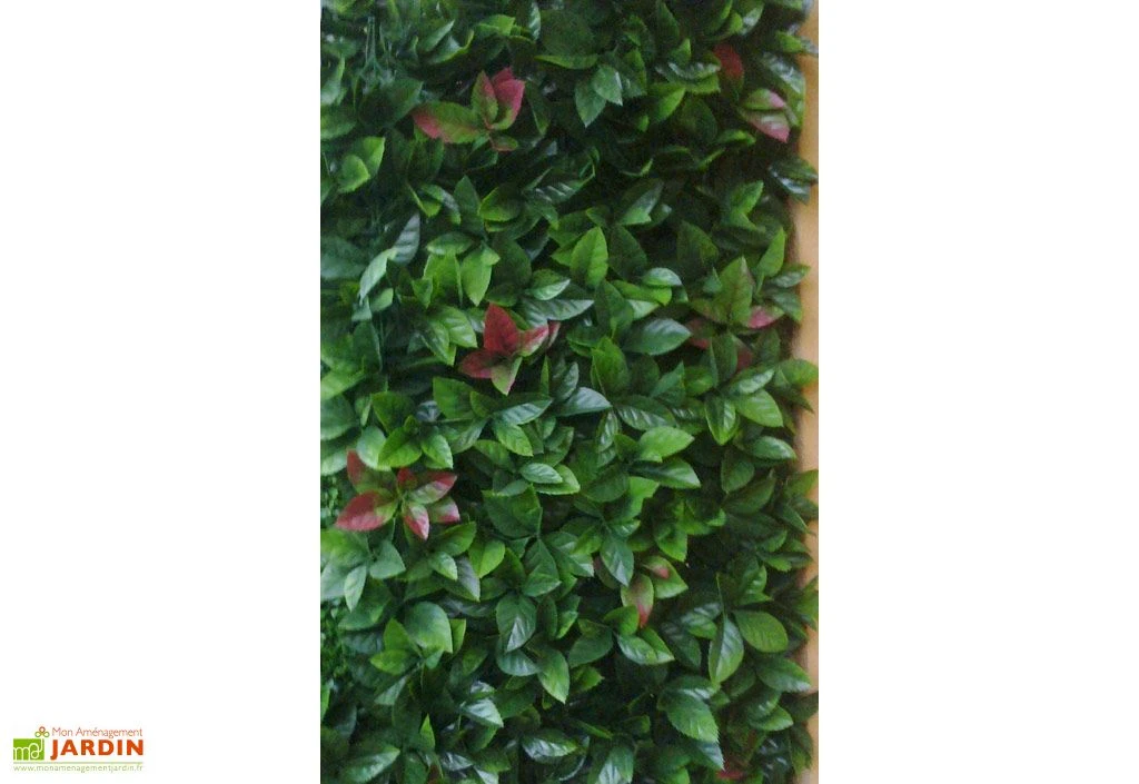 Haie Artificielle Red Robin Dentelé 3 M² 4 Haie Artificielle Red Robin Dentelé 3 M² – Image 2