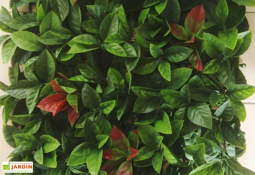 Haie Artificielle Red Robin Dentelé 3 M² 3 Haie Artificielle Red Robin Dentelé 3 M²