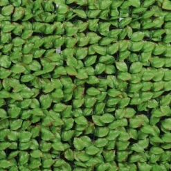 Haie Artificielle Feuilles De Rosier 1,50x3m -Jardelix Soldes Magasin haie artificielle rosier 5 1