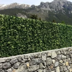 Haie Artificielle Sapin 1 X 1 M -Jardelix Soldes Magasin haie artificielle sapin 1 m2 france green