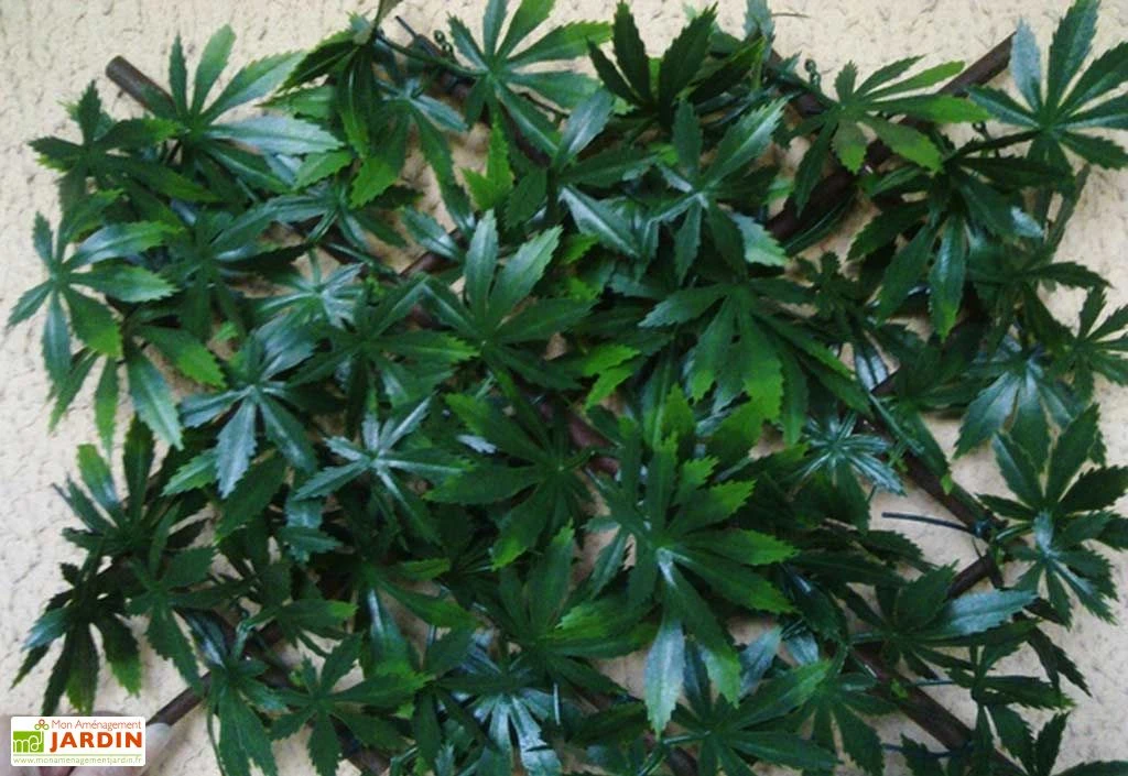 Haie Artificielle Feuilles De Vigne Vierge Treillis Extensible Sur Mesure 1x2m 4 Haie Artificielle Feuilles De Vigne Vierge Treillis Extensible Sur Mesure 1x2m – Image 2