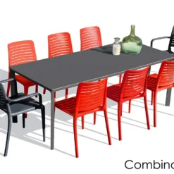 Salon De Jardin : 1 Table 200 X 90 Cm + 6 Chaises + 2 Fauteuils – Park -Jardelix Soldes Magasin salon jardin alu 8 places gris anthracite rouge