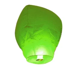 Lot 10 Lanternes Volantes Vertes